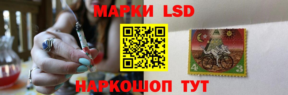 Бердск  Лсд 25 экстази кислота  Лсд 25 экстази  Лсд 25 экстази ecstasy  Вход с VPN 