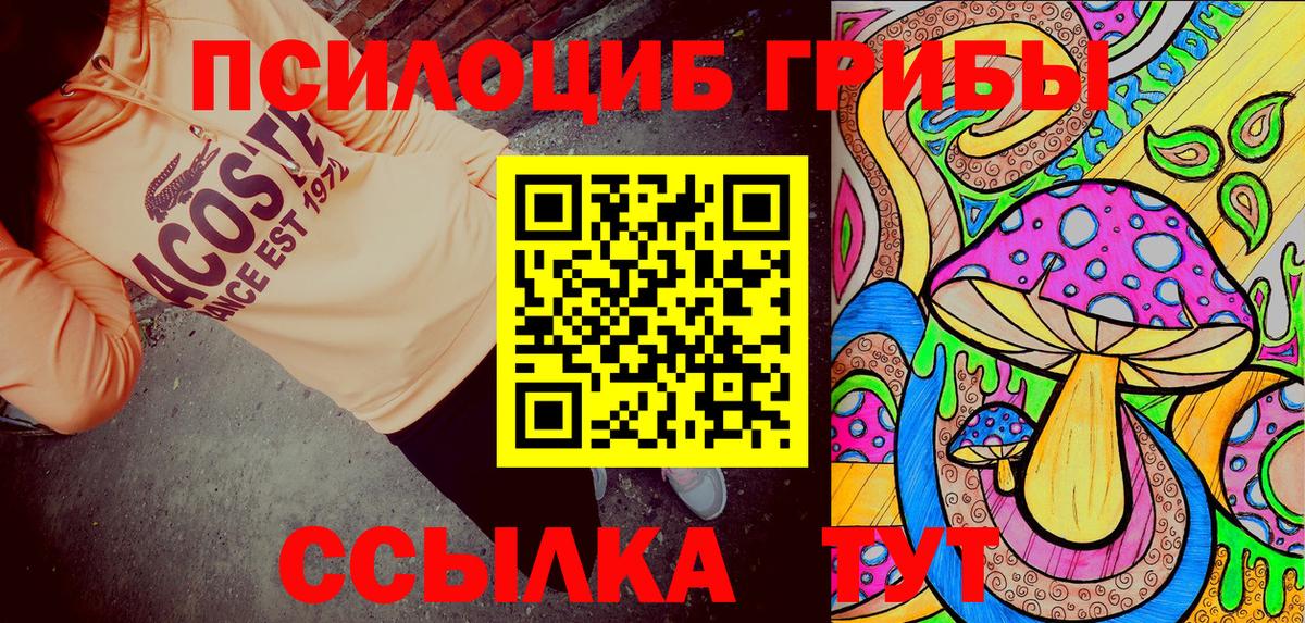 Галлюциногенные грибы прущие грибы Бердск
