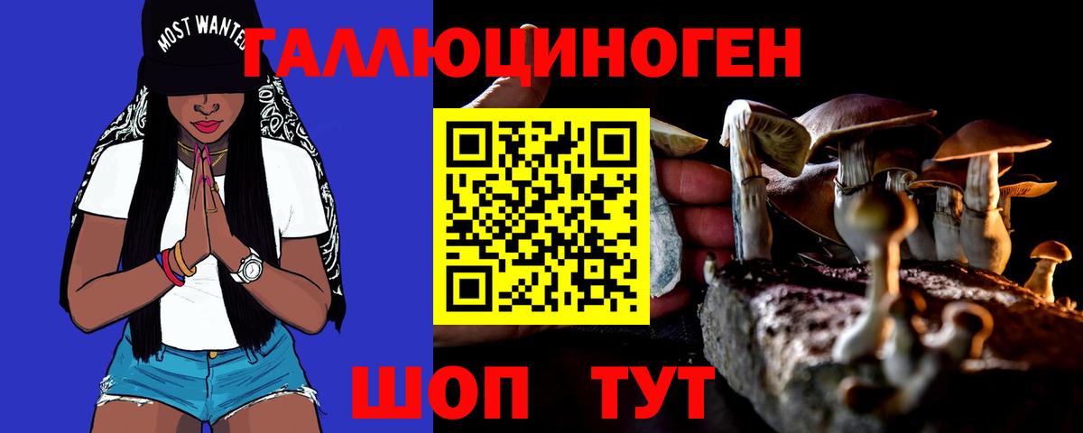Бердск  Галлюциногенные грибы Psilocybine cubensis  Псилоцибиновые грибы MAGIC MUSHROOMS  Вход с VPN 